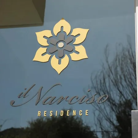 Il Narciso